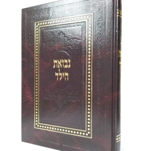 נבואת הילד