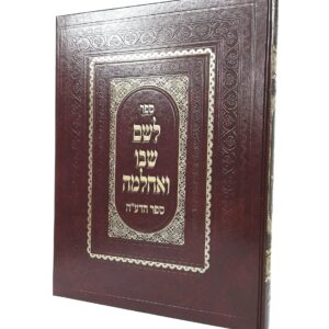 לשם שבו ואחלמה - הדעה