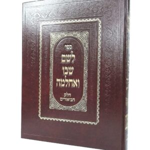 לשם שבו ואחלמה - הביאורים