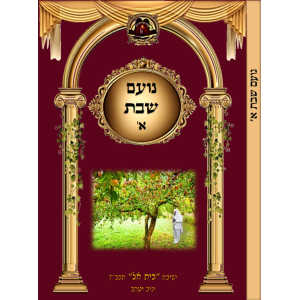 נועם שבת